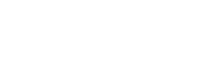 tesla-1-300x120-1